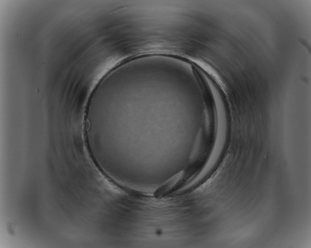X0000091891333200709051336