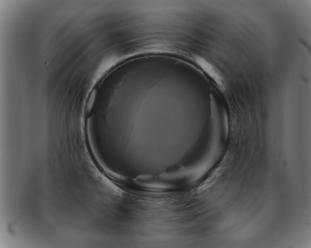 X0000091891334200709051336