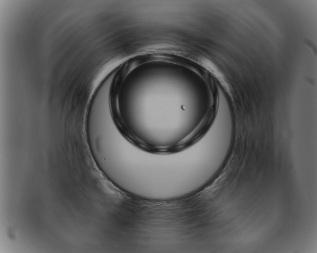 X0000091891336200709051336