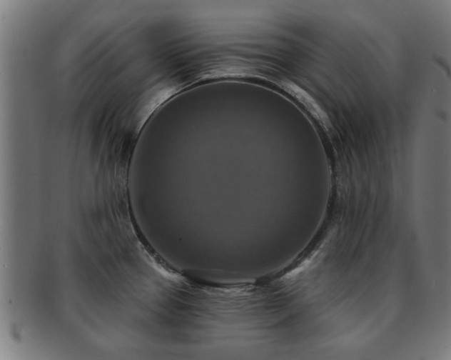 X0000091891337200709051336