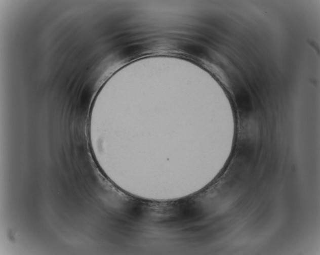 X0000091891338200709051336