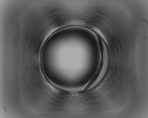 X0000091891339200709051336