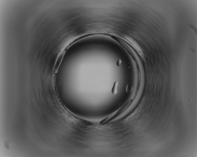 X0000091891340200709051336