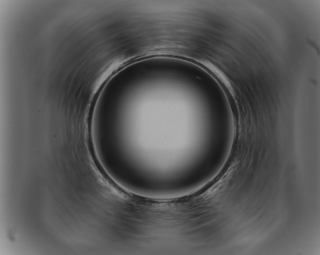 X0000091891341200709051336