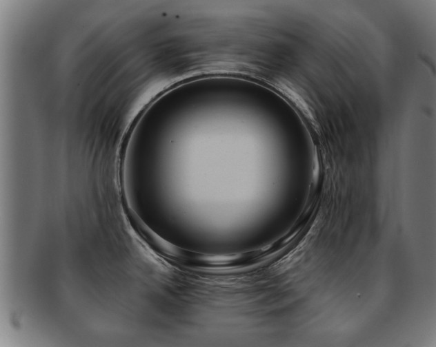 X0000091891342200709051336