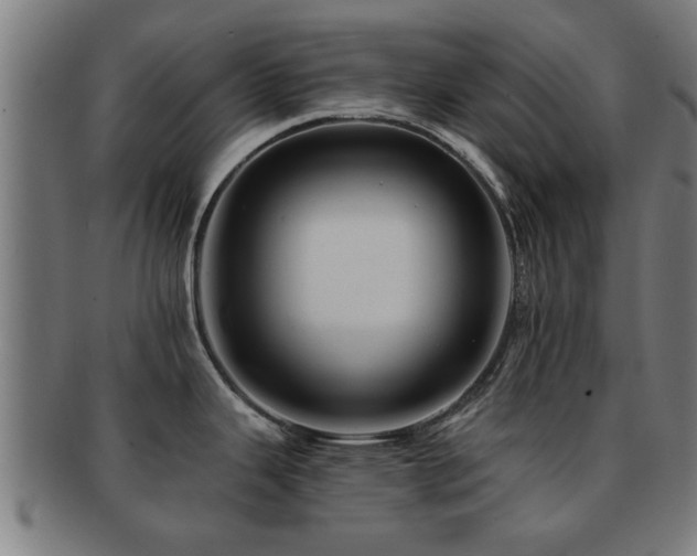 X0000091891343200709051336