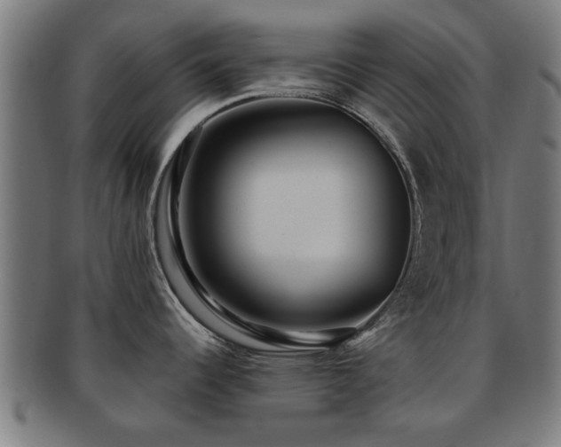 X0000091891344200709051336