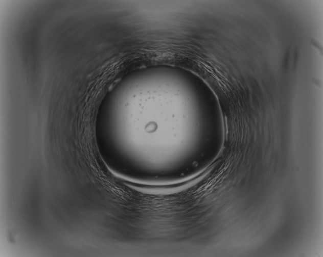 X0000091891345200709051335