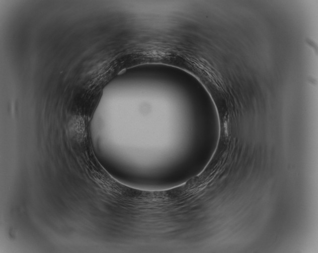 X0000091891347200709051335