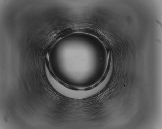 X0000091891348200709051335