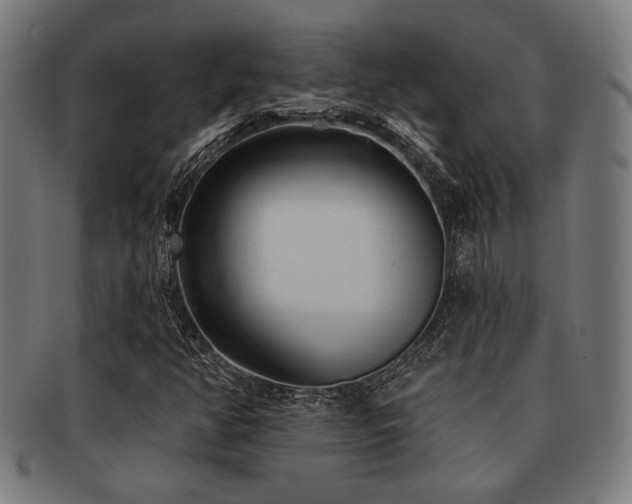 X0000091891350200709051335