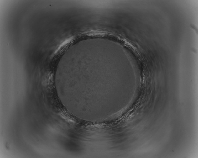X0000091891351200709051335