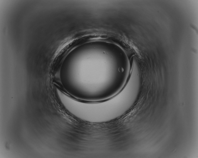 X0000091891352200709051335