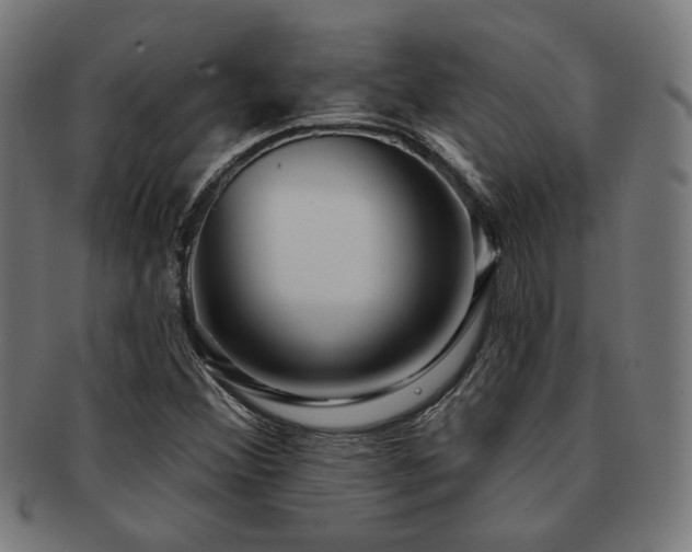 X0000091891356200709051335