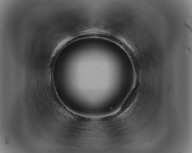 X0000091891358200709051335