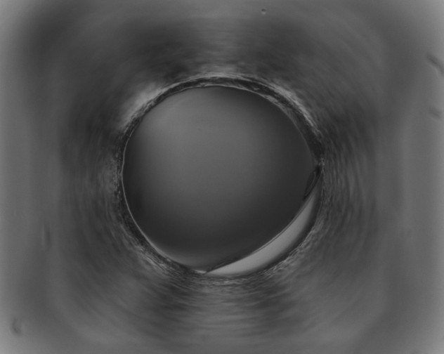 X0000091891359200709051335
