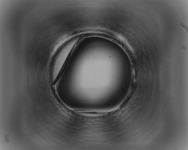 X0000091891360200709051335