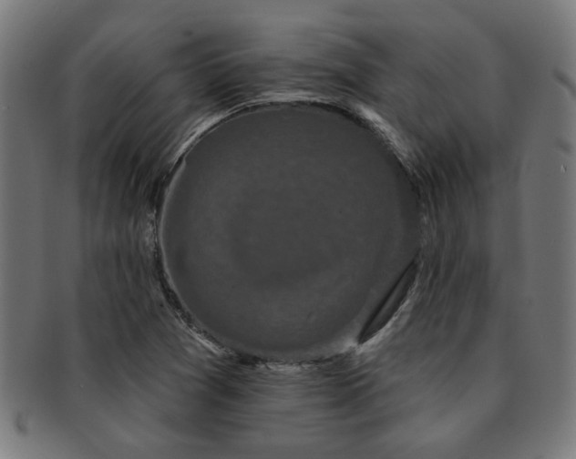 X0000091891361200709051335