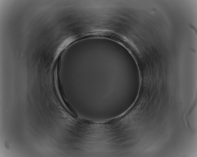 X0000091891362200709051335