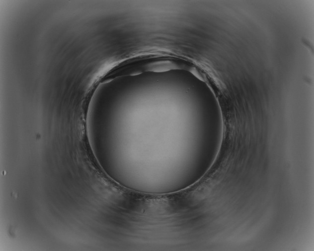 X0000091891363200709051335