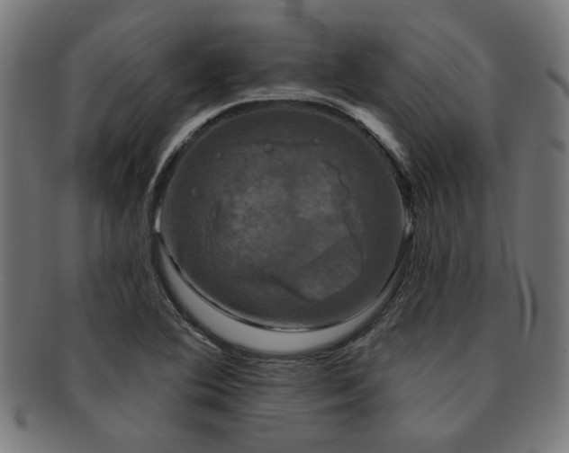 X0000091891364200709051335