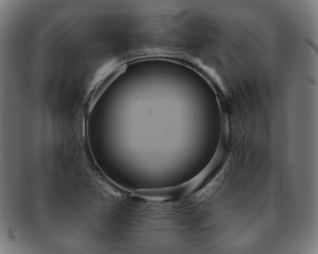 X0000091891365200709051335