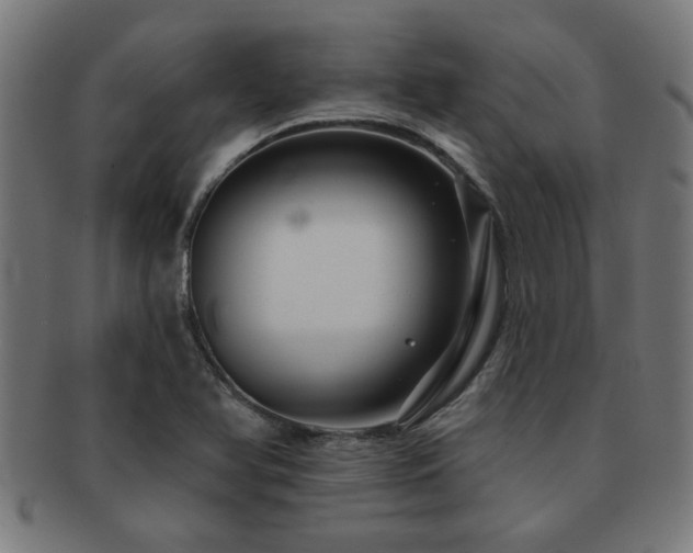 X0000091891366200709051335