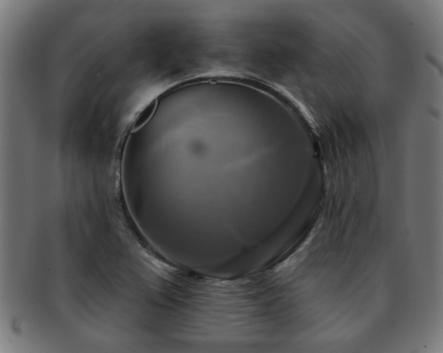 X0000091891367200709051335