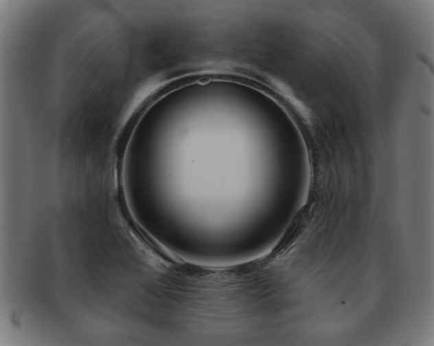 X0000091891368200709051335