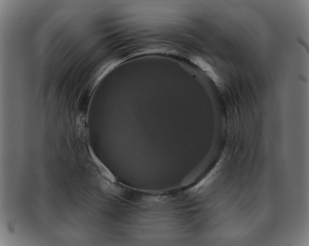 X0000091891369200709051335