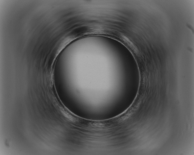X0000091891370200709051335