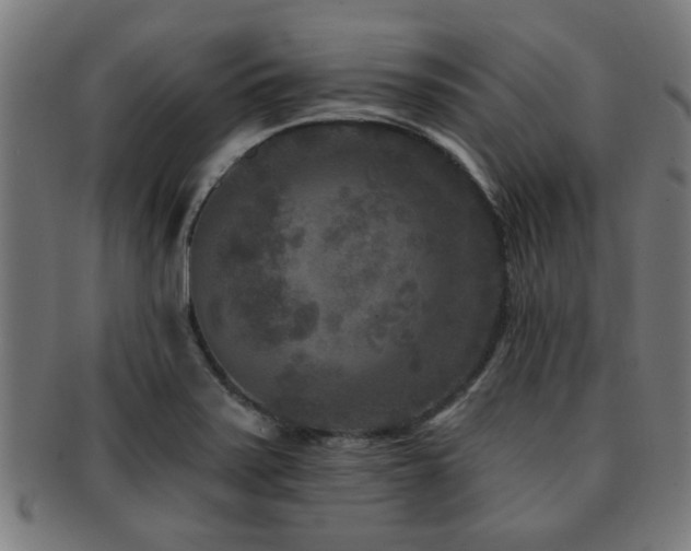 X0000091891371200709051335