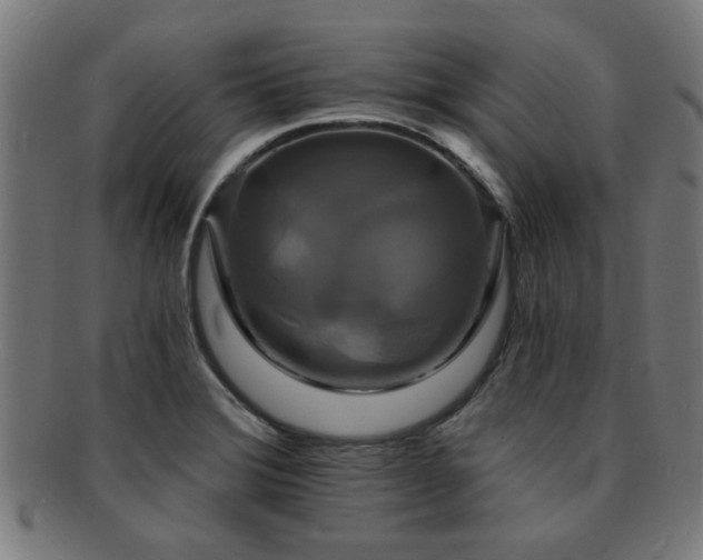 X0000091891372200709051335