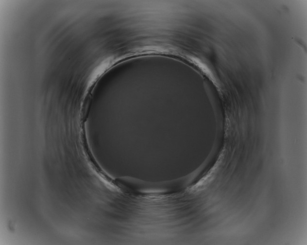X0000091891373200709051335