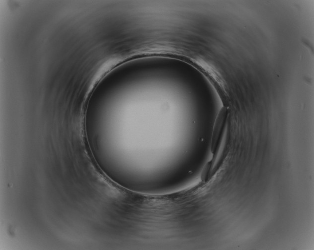 X0000091891374200709051335