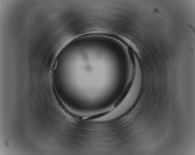 X0000091891375200709051335