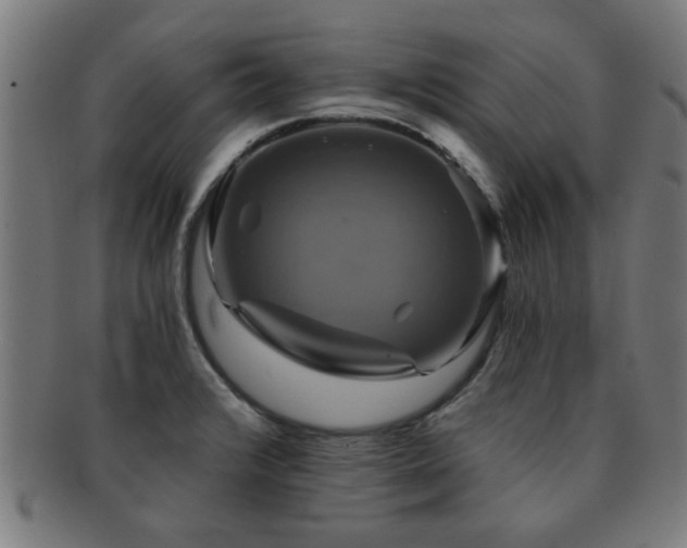 X0000091891376200709051335
