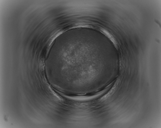 X0000091891377200709051335