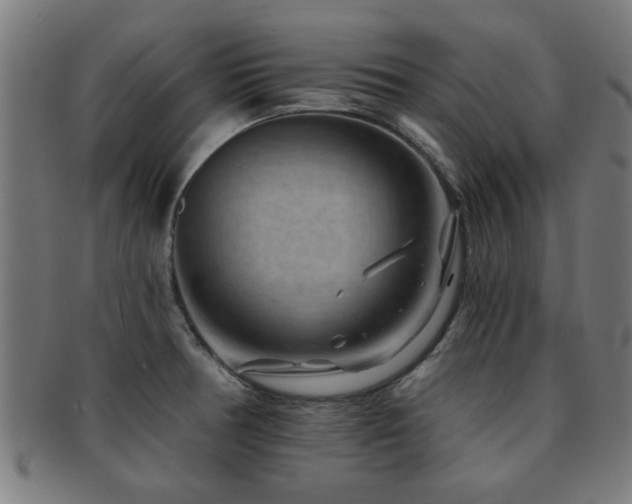 X0000091891378200709051335