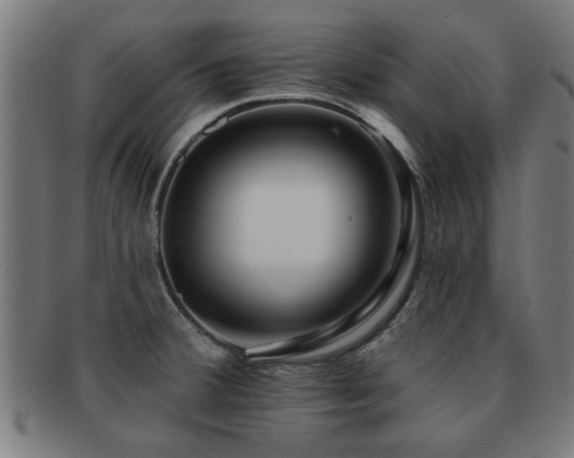 X0000091891380200709051335