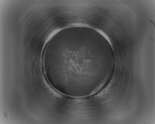X0000091891381200709051335