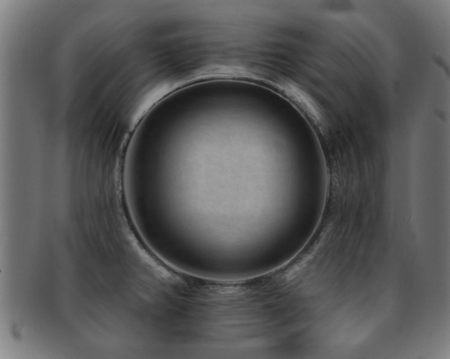 X0000091891382200709051335