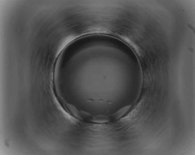 X0000091891383200709051335