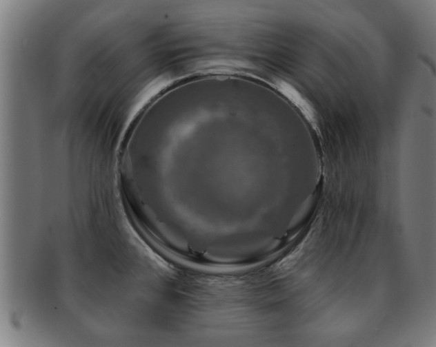 X0000091891384200709051335