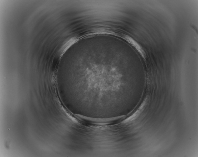 X0000091891385200709051335