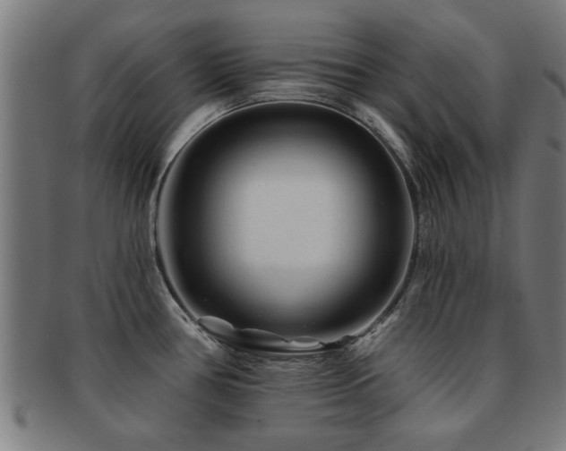 X0000091891386200709051335
