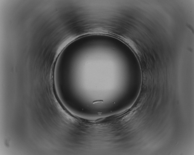 X0000091891387200709051335
