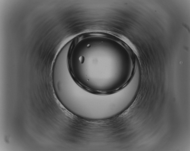 X0000091891388200709051335