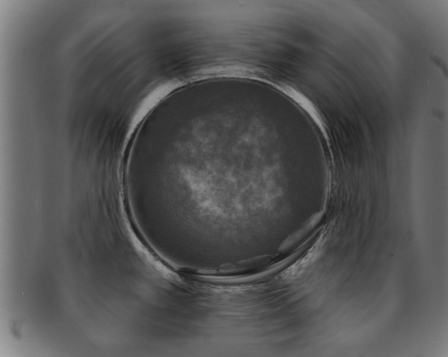 X0000091891389200709051335