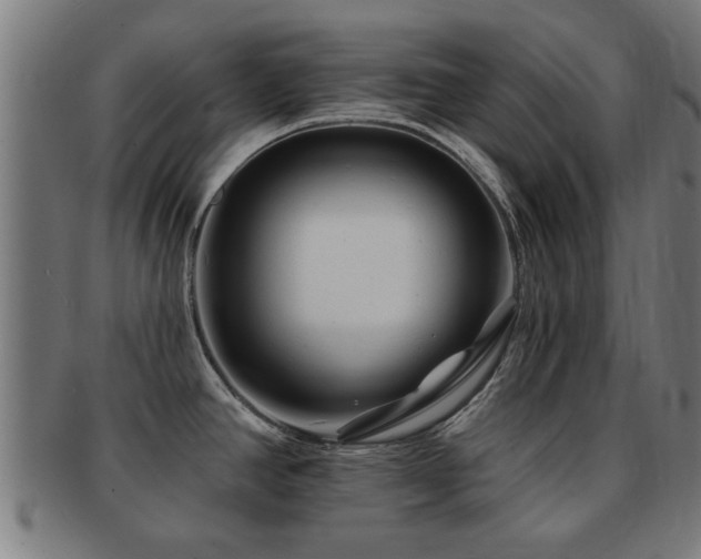 X0000091891390200709051335